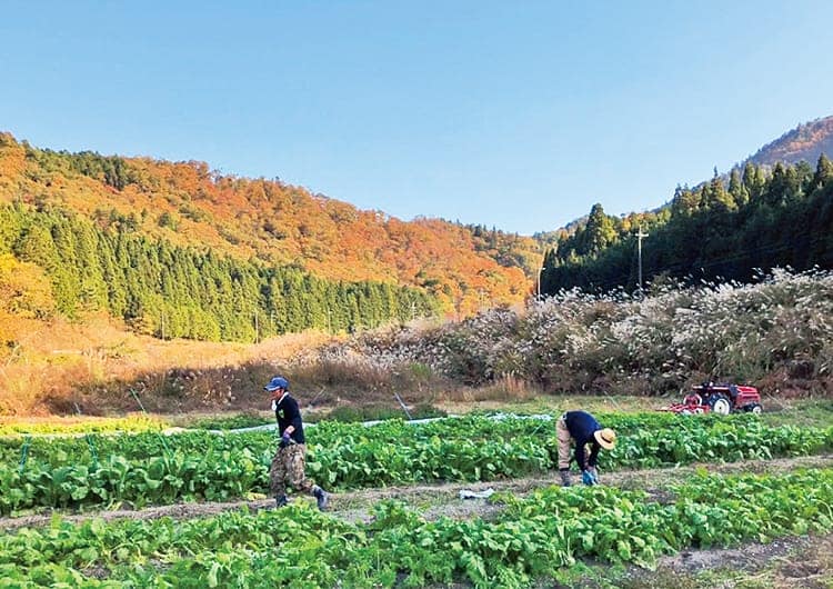 おうちでファーマー体験！親子向けワークショップを開催