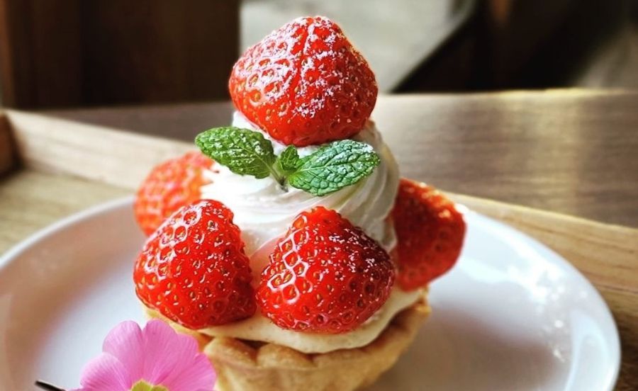 【神戸・六甲】スイーツもランチもおいしい！おしゃれなカフェ4選