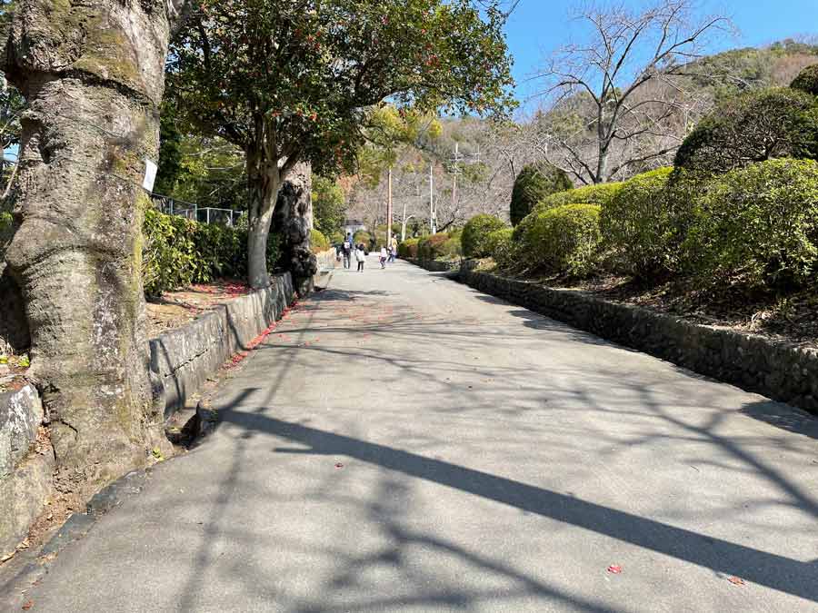 公園から動物園への坂