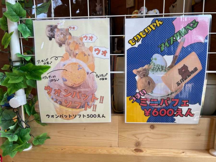 ウォンバットを模したアイスの看板