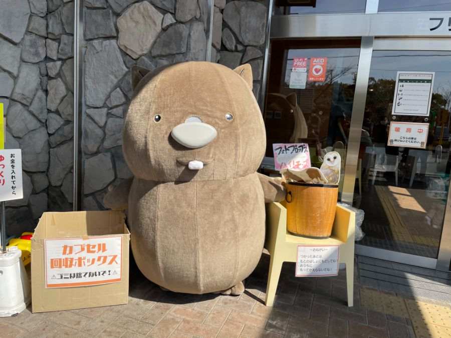 大きなウォンバットのぬいぐるみ