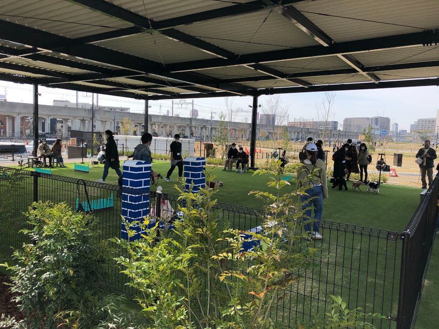 ドッグランで犬を遊ばせる人々