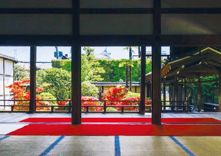 建物から見える春の庭