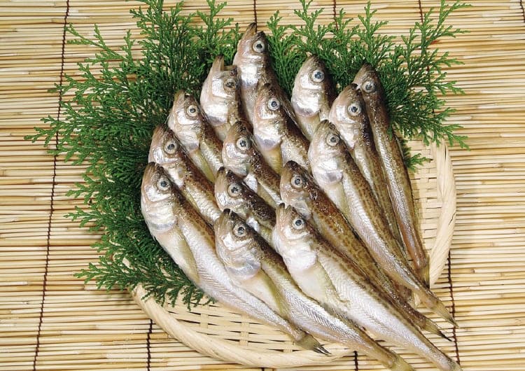 鳥取ブランドのハタハタを干物でいただこう！