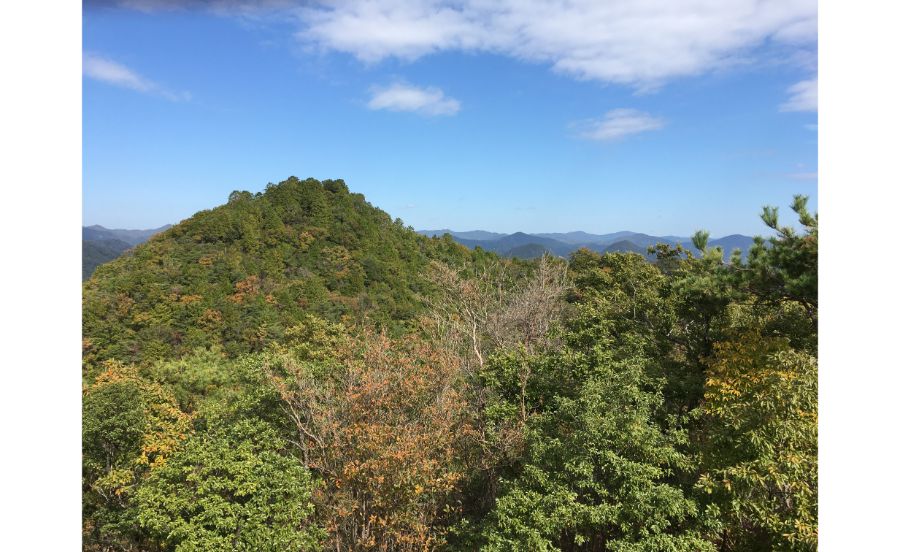 兵庫県立宝塚西谷の森公園