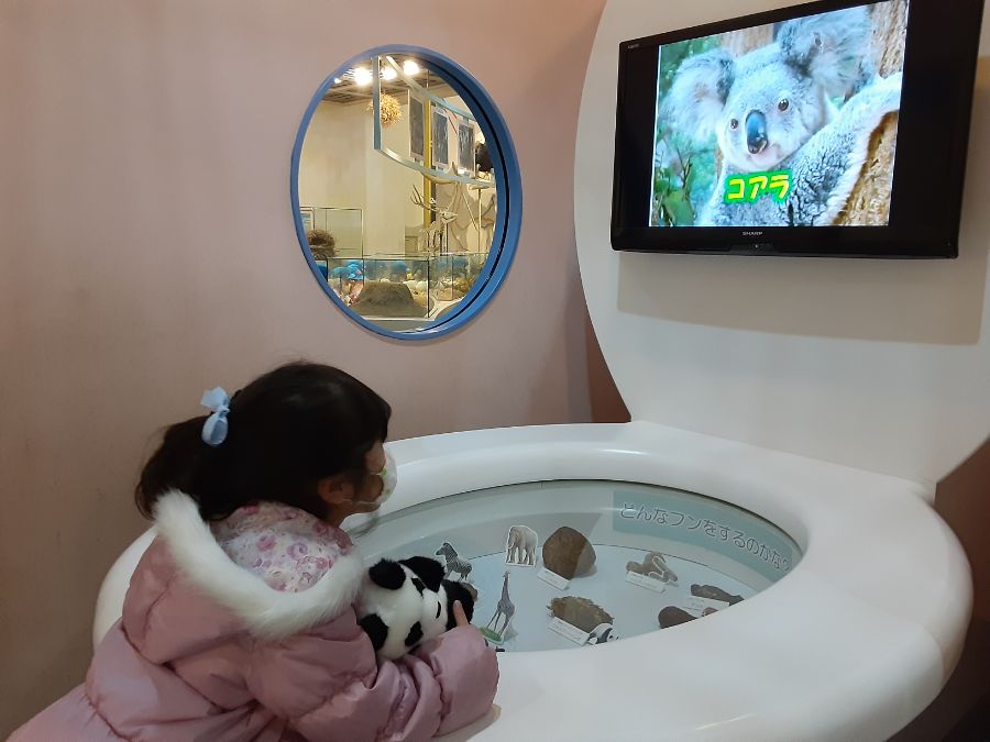 便器の形をした展示