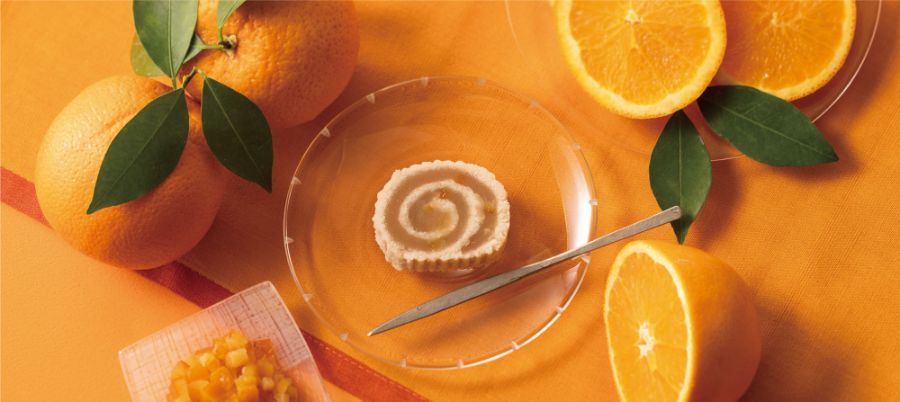 老舗京菓子「鶴屋𠮷信」の銘菓の限定味が復活発売、夏のレギュラー商品に