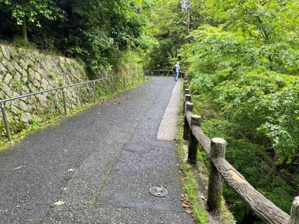 滝へ向かう下りの坂道