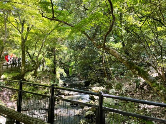 箕面滝道