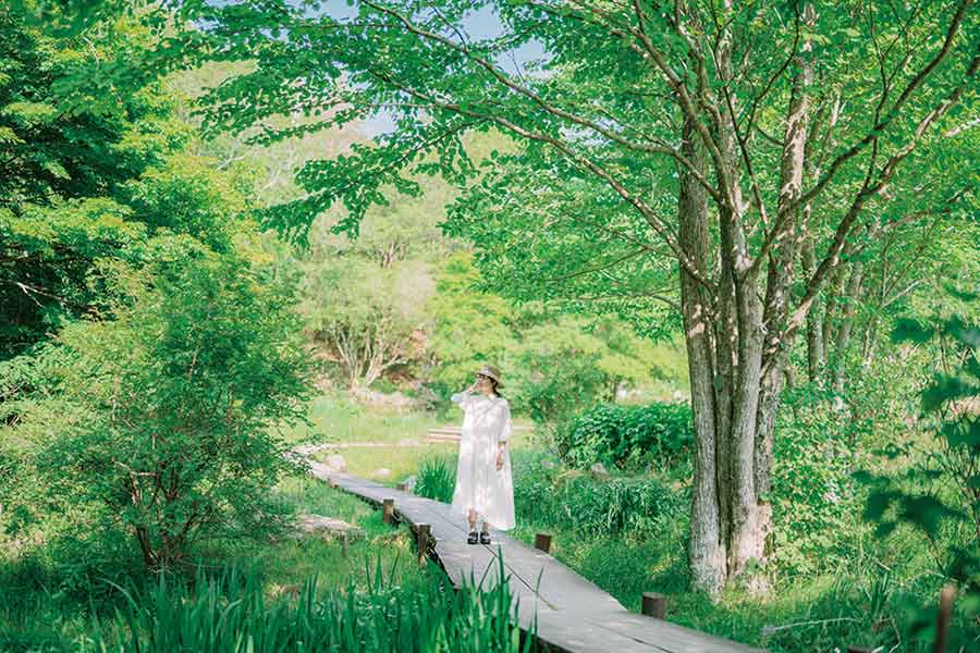 ROKKO森の音（ね）ミュージアム 7月16日（金）オープン