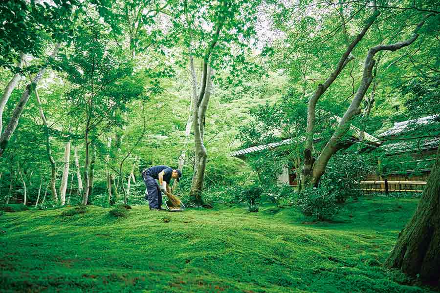 駅と街のストーリー:観光名所の影の立役者。~京都・嵐山~【TOKK2021年9月号】