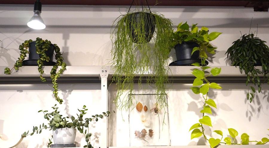 SANWA COFFEE WORKS本店の内観