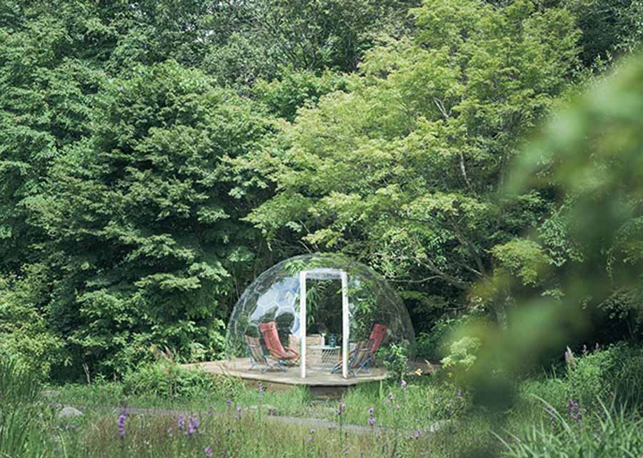 秋の六甲山で特別なひとときを！ ROKKO森の音(ね)ミュージアム貸切ドームでピクニック体験