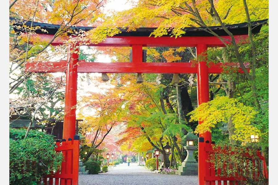 【2021年最新】京都・大阪・神戸、紅葉スポットと名所の歴史＜TOKK2021年11月号＞
