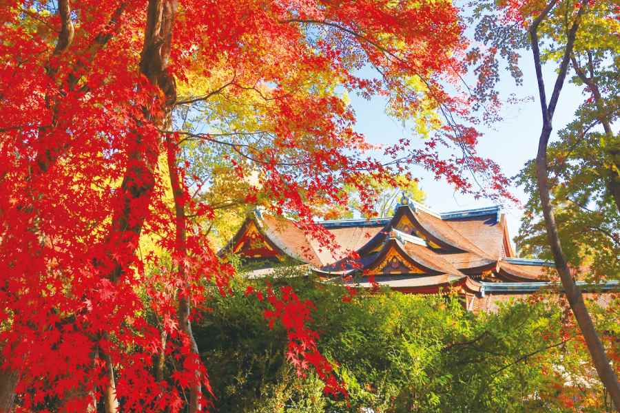 北野天満宮の紅葉