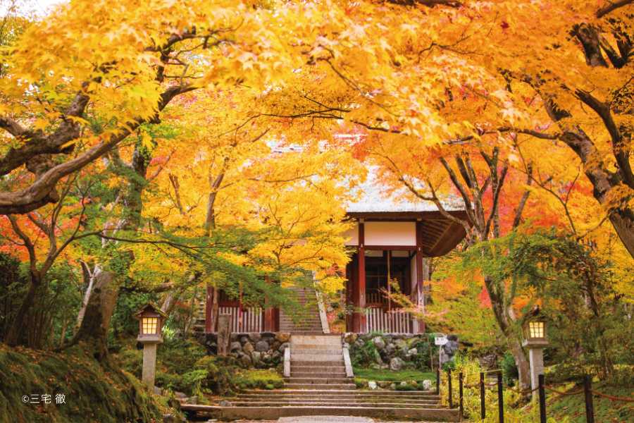 京都・嵐山の紅葉の名所、常寂光寺。歌人に愛された秋景色【TOKK2021年11月号】