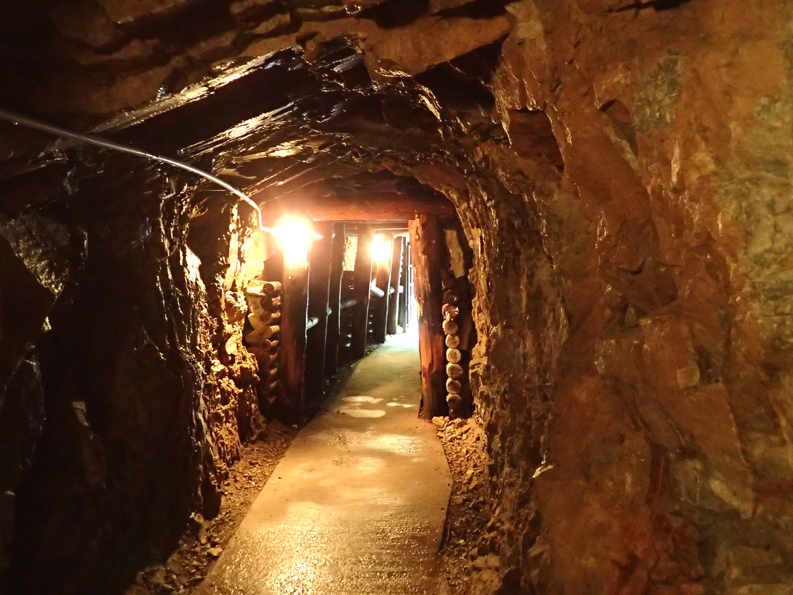 2021年歩き納めのロングウオーク？！のせでんチャレンジハイキング12月25日（土）開催