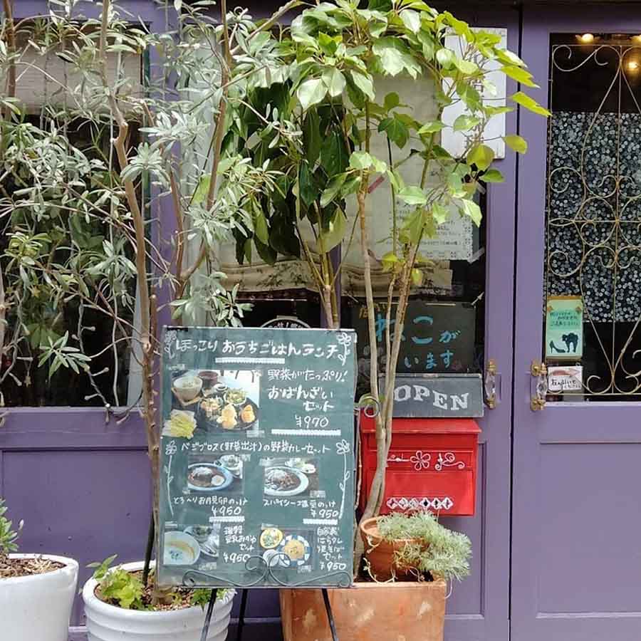 ピピネラの内観