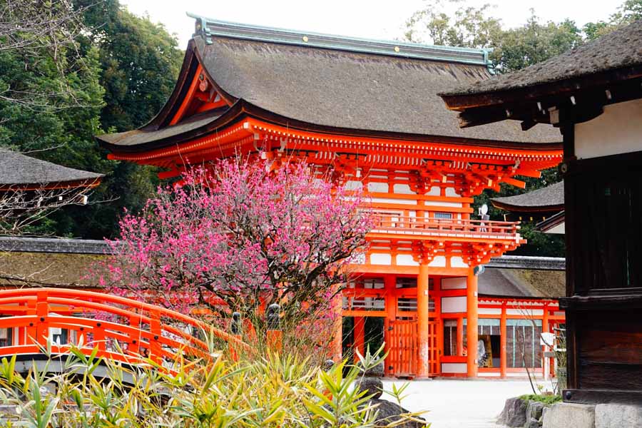 下鴨神社の梅