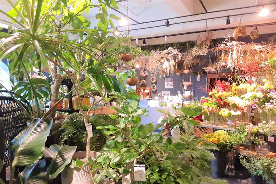 【吹田・箕面】初心者でも安心！おしゃれなグリーンや観葉植物を見つけられるおすすめショップ3選（駐車場情報も）