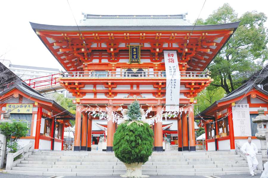 生田神社 正面 杉盛