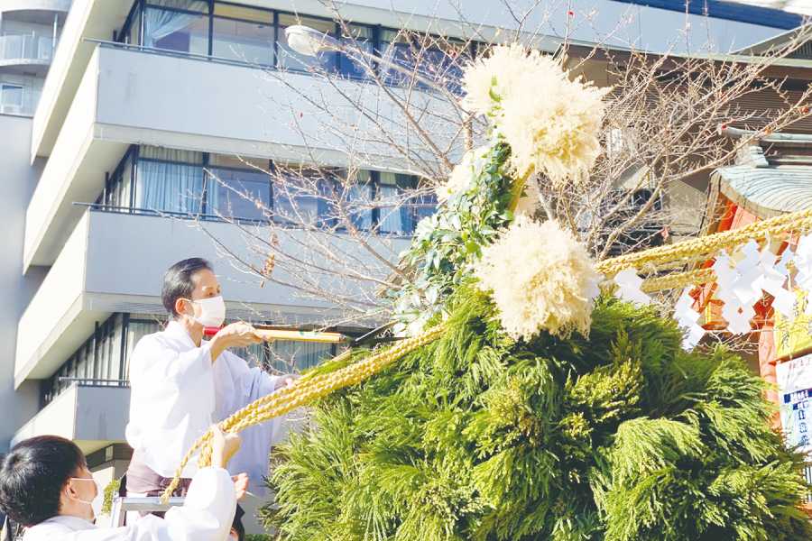 生田神社 杉盛 風景