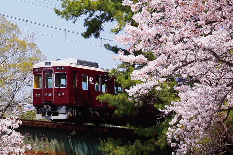 阪急電車と桜。マルーンとピンクの春景色が見られるスポット【TOKK2022年3月号】