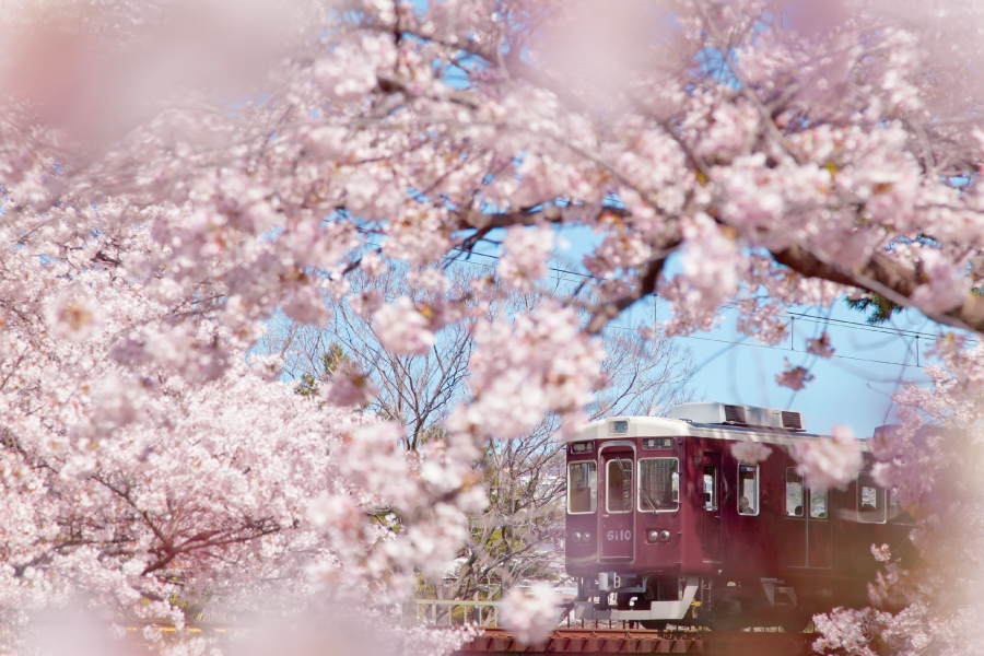 夙川公園と阪急電車