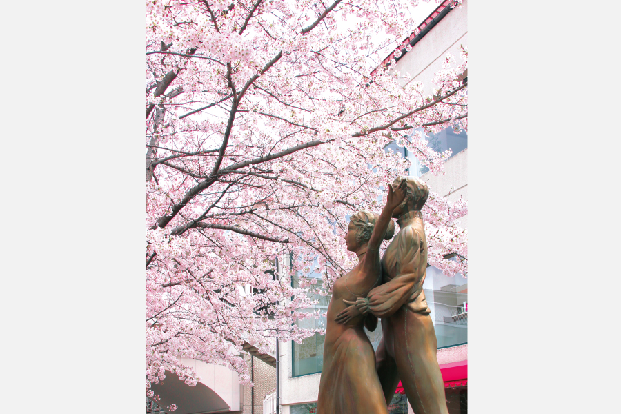 【2025年最新】宝塚・池田・吹田・豊中周辺 北摂エリアの桜・お花見スポット5選