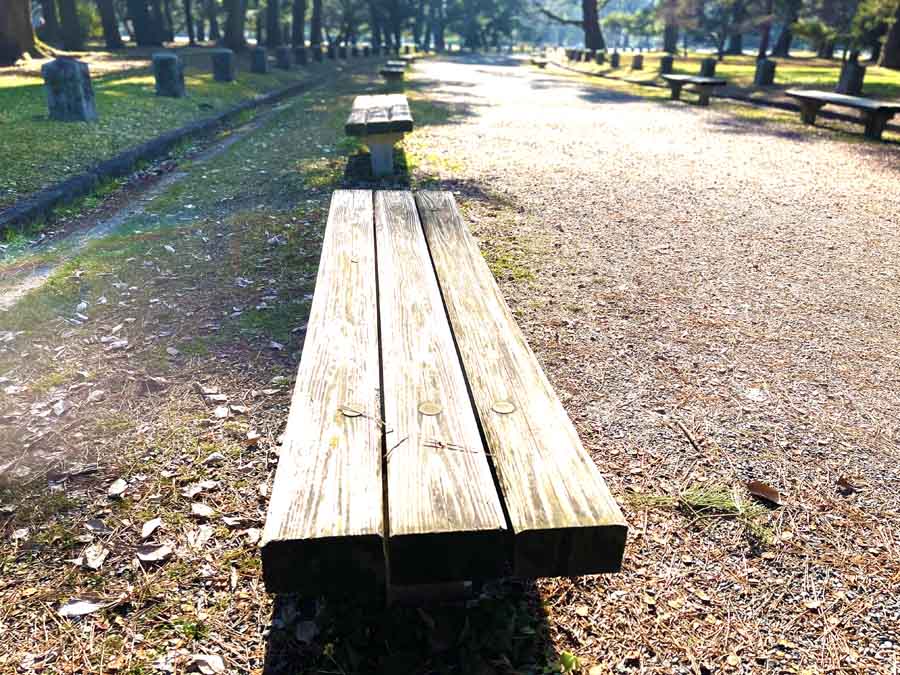 京都御苑のベンチ