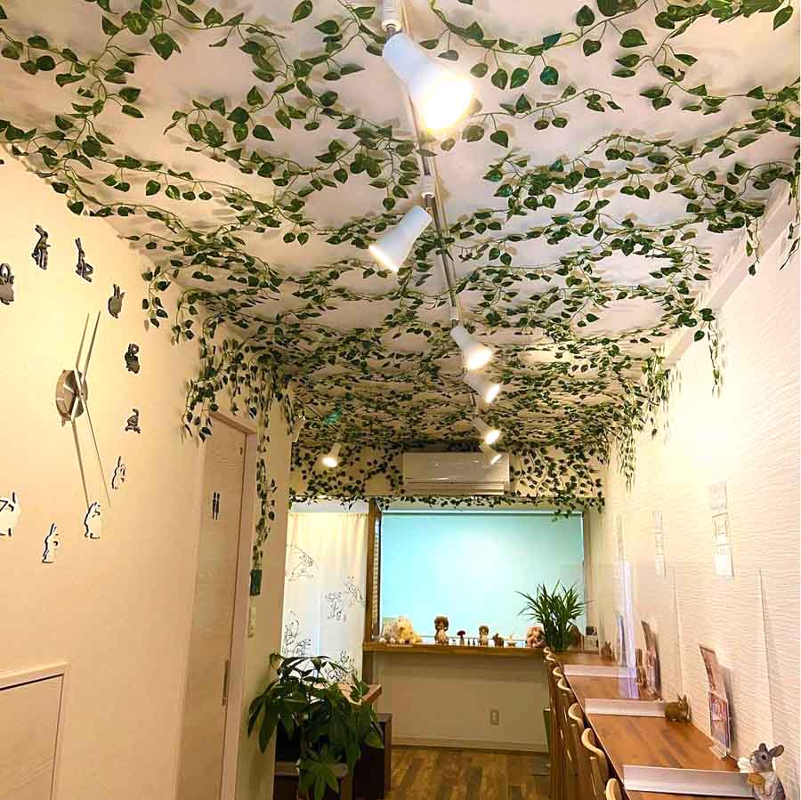 うさぎのもりの内観