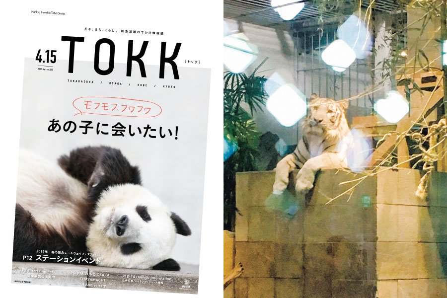 2019年4月15日号「モフモフ、フワフワ あの子に会いたい!」