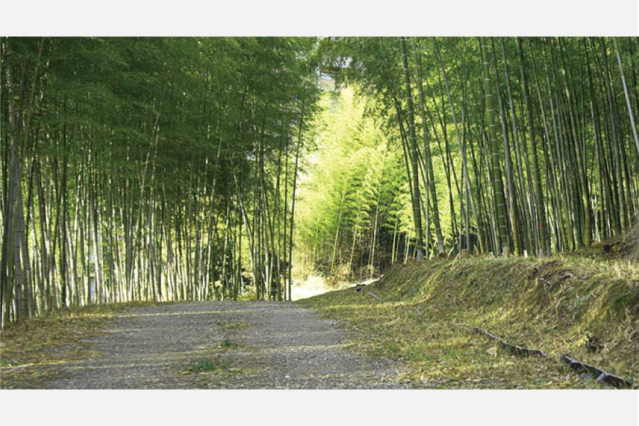 朝日・おおさか南北ウオーク、5月14日（土）開催。服部緑地とその界隈を巡る街歩きハイキング