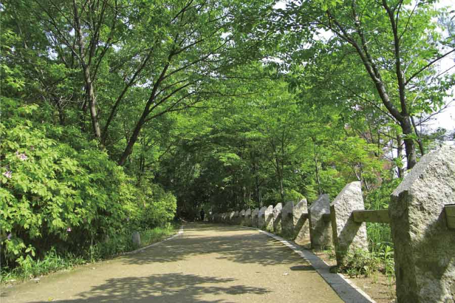 朝日・おおさか南北ウオーク 6月4日（土）開催。泉北の丘陵をゆったりと、夏木立の緑道といにしえの街道を歩くコース