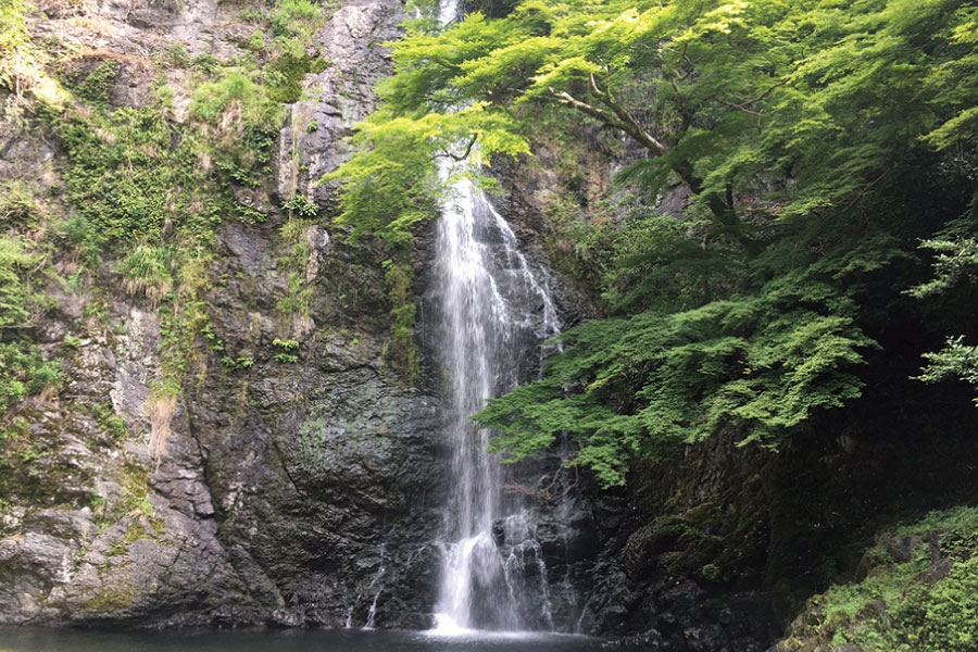 阪急ハイキング ウイークデーシリーズ7月13日（水）開催。癒しと涼を求めて…地獄谷からこもれびの森・箕面大滝コース【要事前申込】