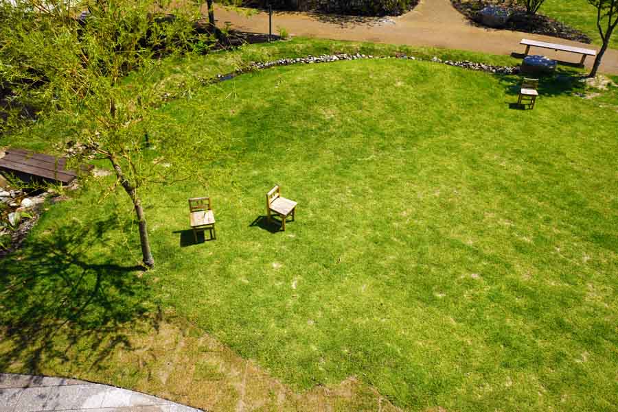 ネイチャースタジオの校庭