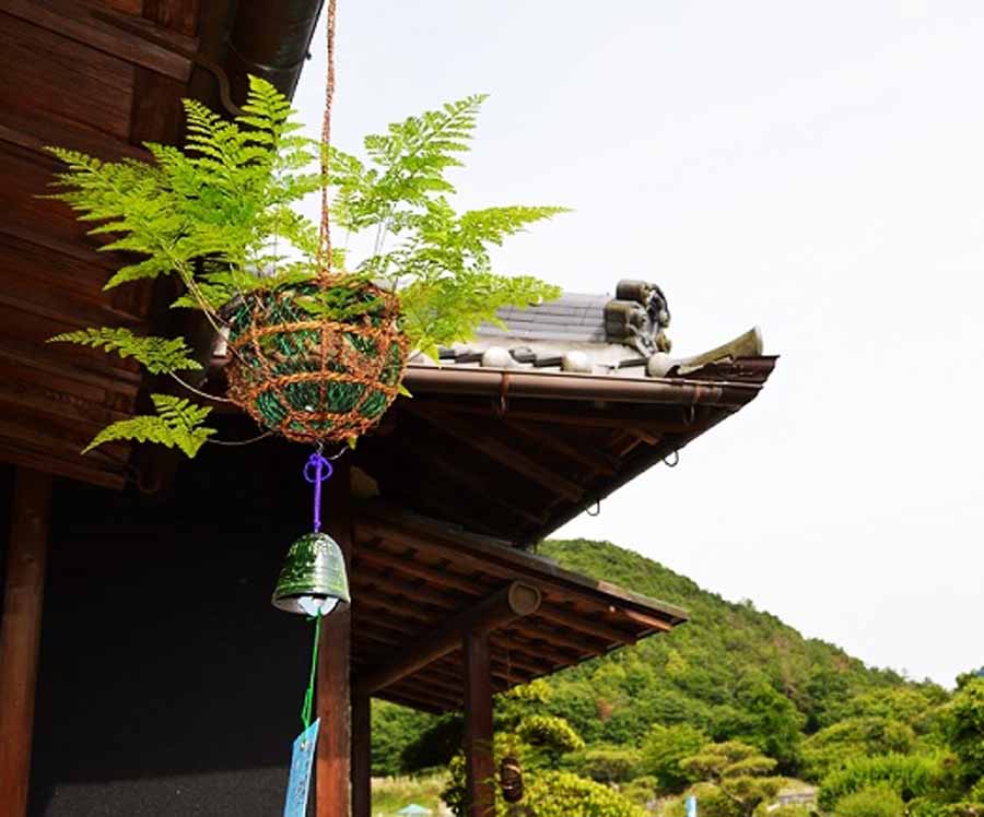 涼感や風情を感じる家時間。宝塚で「つりしのぶ」の生産を行う「つりしのぶ園」