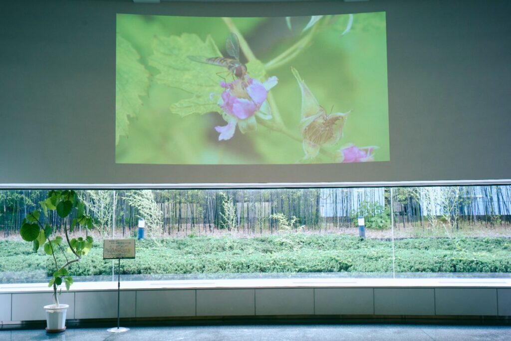 JT生命誌研究館の館内