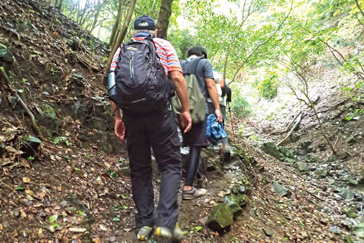 のせでん山の日ハイキング 山の恩恵に感謝して妙見山に登ろう！大堂越から能勢妙見山コース 8月11日（金・祝）開催