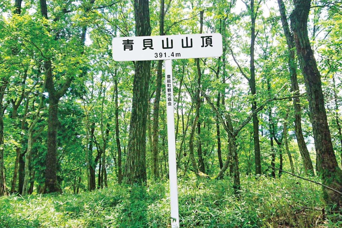 のせでん平日ハイキング9月7日（水）開催。 緑陰の下で山歩きを楽しもう！ 吉川峠から青貝山・箕面森町コース