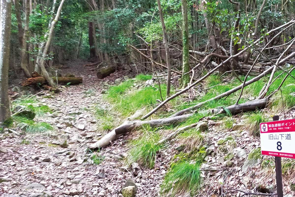 のせでん第1木曜ハイキング、9月1日（木）開催。陽ざしを避けて里山トレッキング 旧山下道から山下城址・川西市郷土館コース