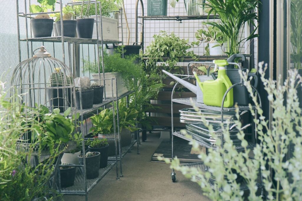 ベランダに並ぶ観葉植物
