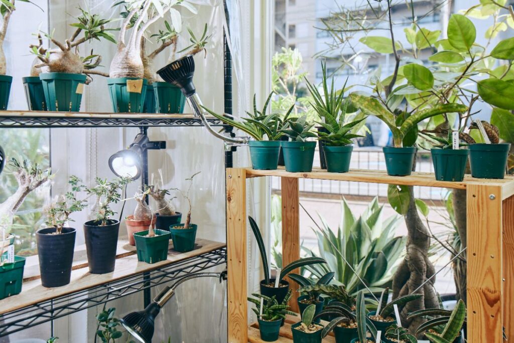 錦佐竹生花店 高槻店の店内の様子