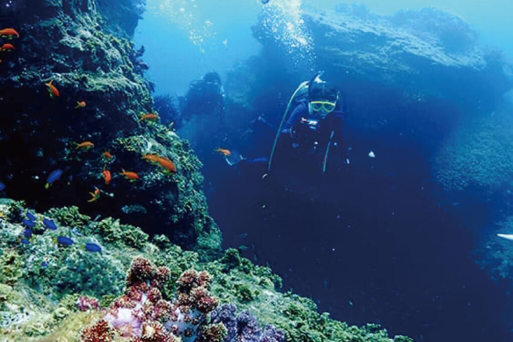 体験型アクティビティで自然を満喫！