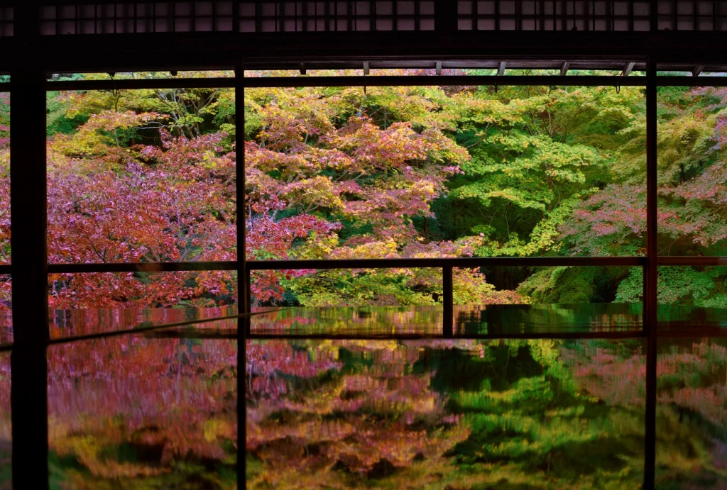 瑠璃光院書院の紅葉