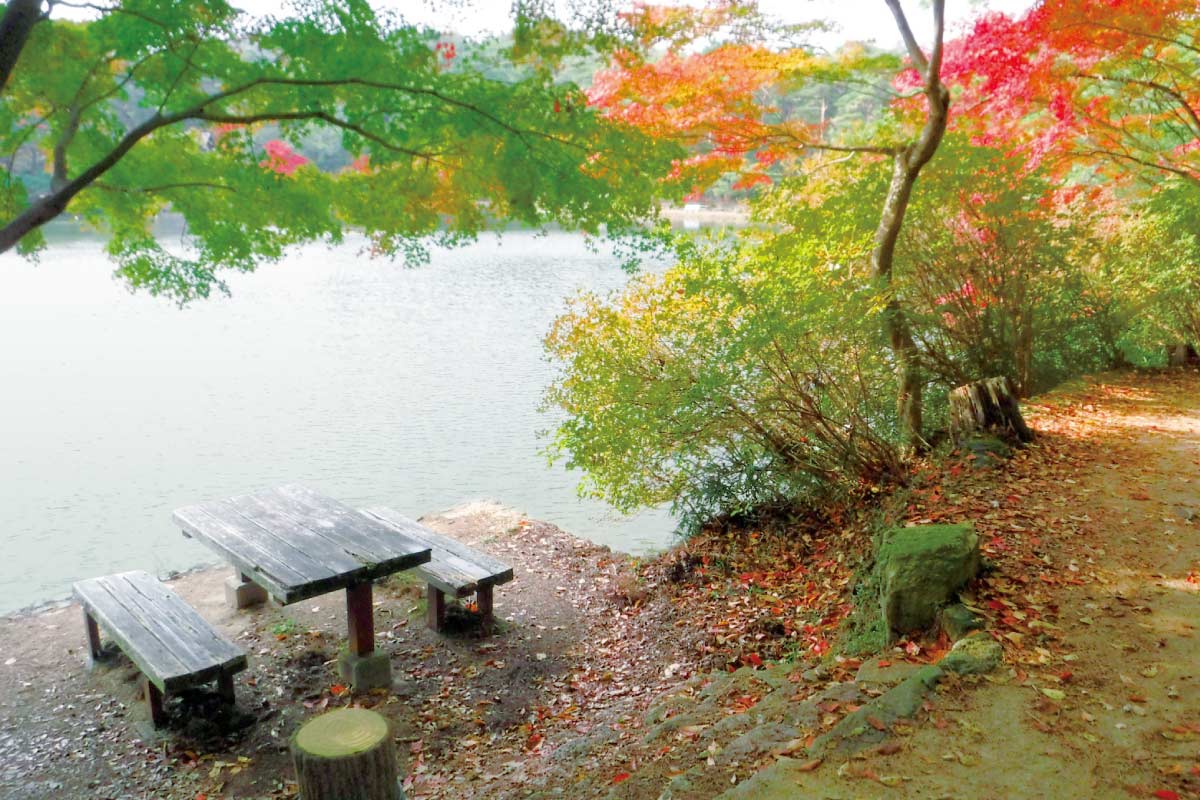 紅葉シーズンの神戸の山へ！《北おおさか信用金庫》健康ウオーク 11月27日（日）開催。布引の滝から再度公園・大師道コース