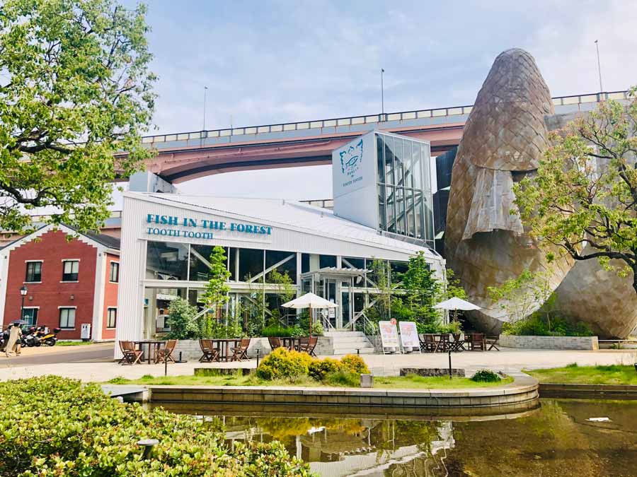 TOOTH TOOTH FISH IN THE FORESTの外観