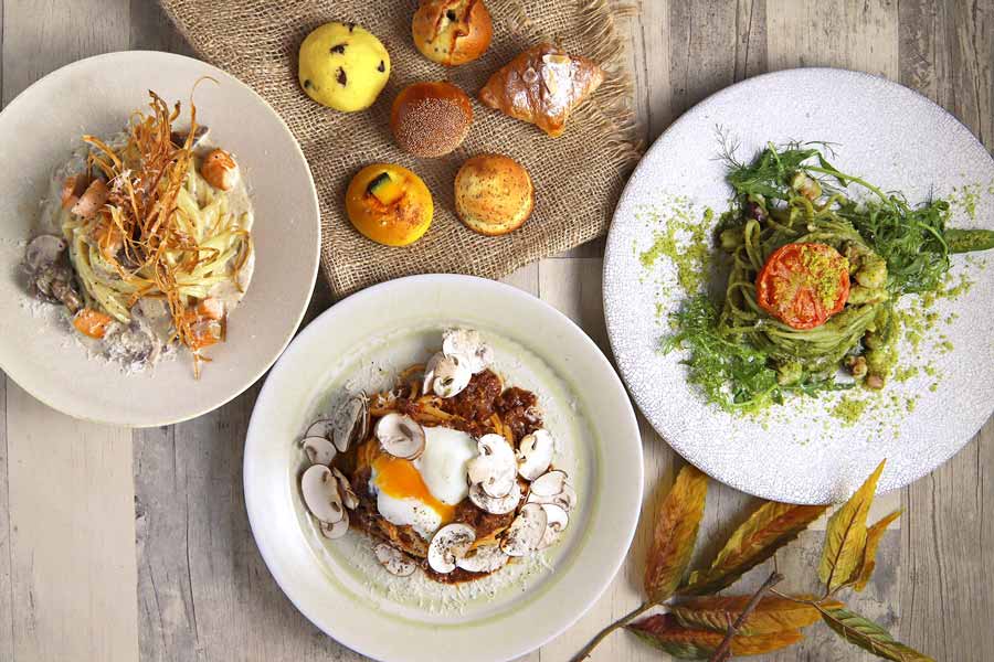 TOOTH TOOTH FISH IN THE FORESTのランチ