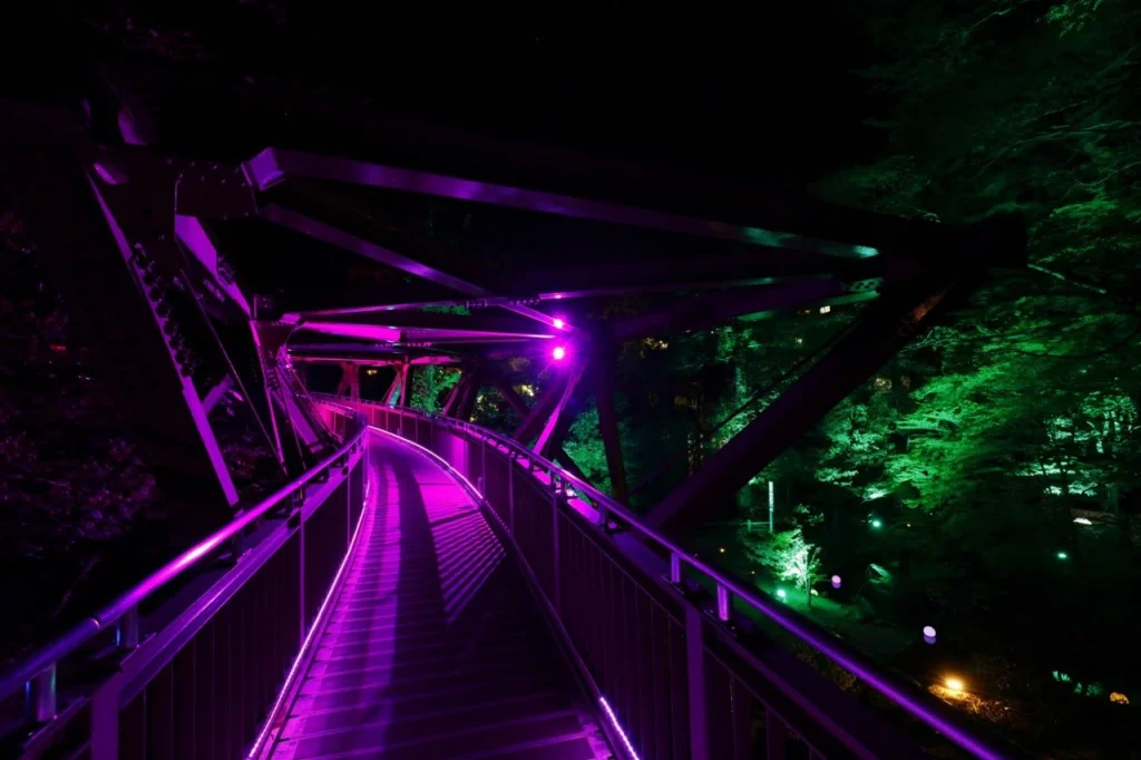 鶴仙渓ライトアップ