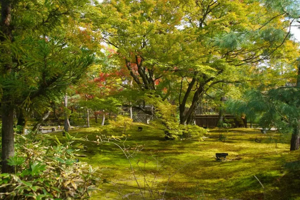 宝厳院の獅子吼の庭